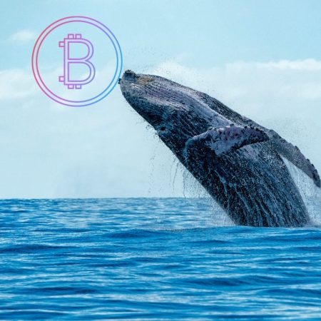 Crypto Whale Quietly Accumulates WBTC Amidst Controversy