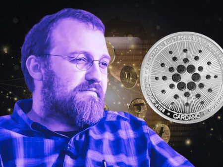 Hoskinson $1M Cardano Lace Wallet Security Challenge – Can You Hack It?