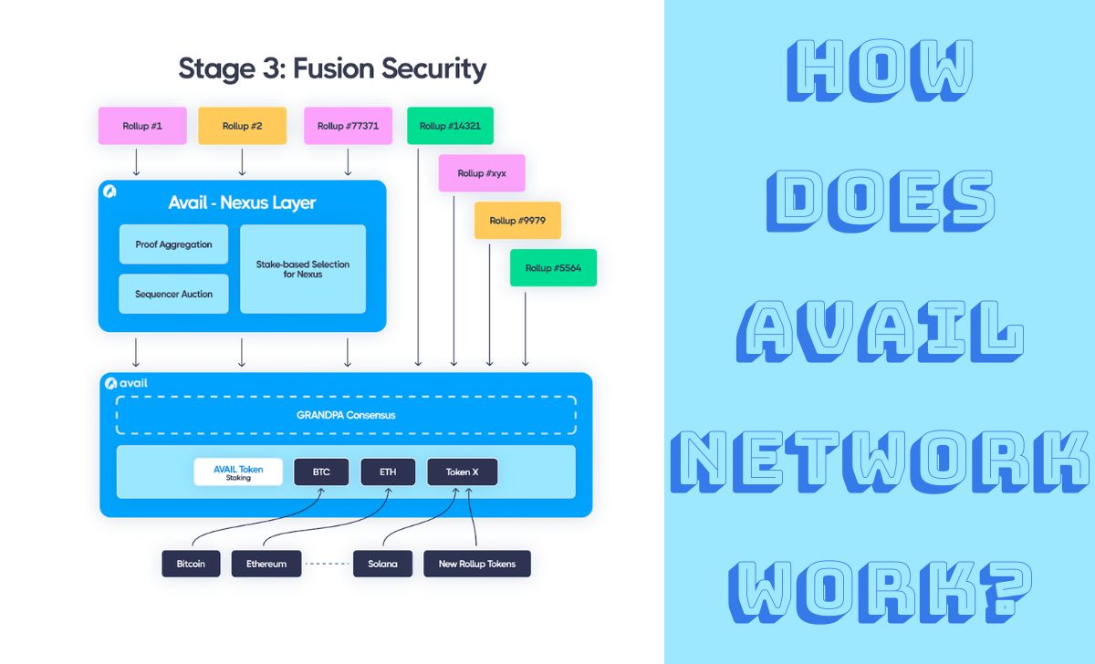 How does Avail Network work?