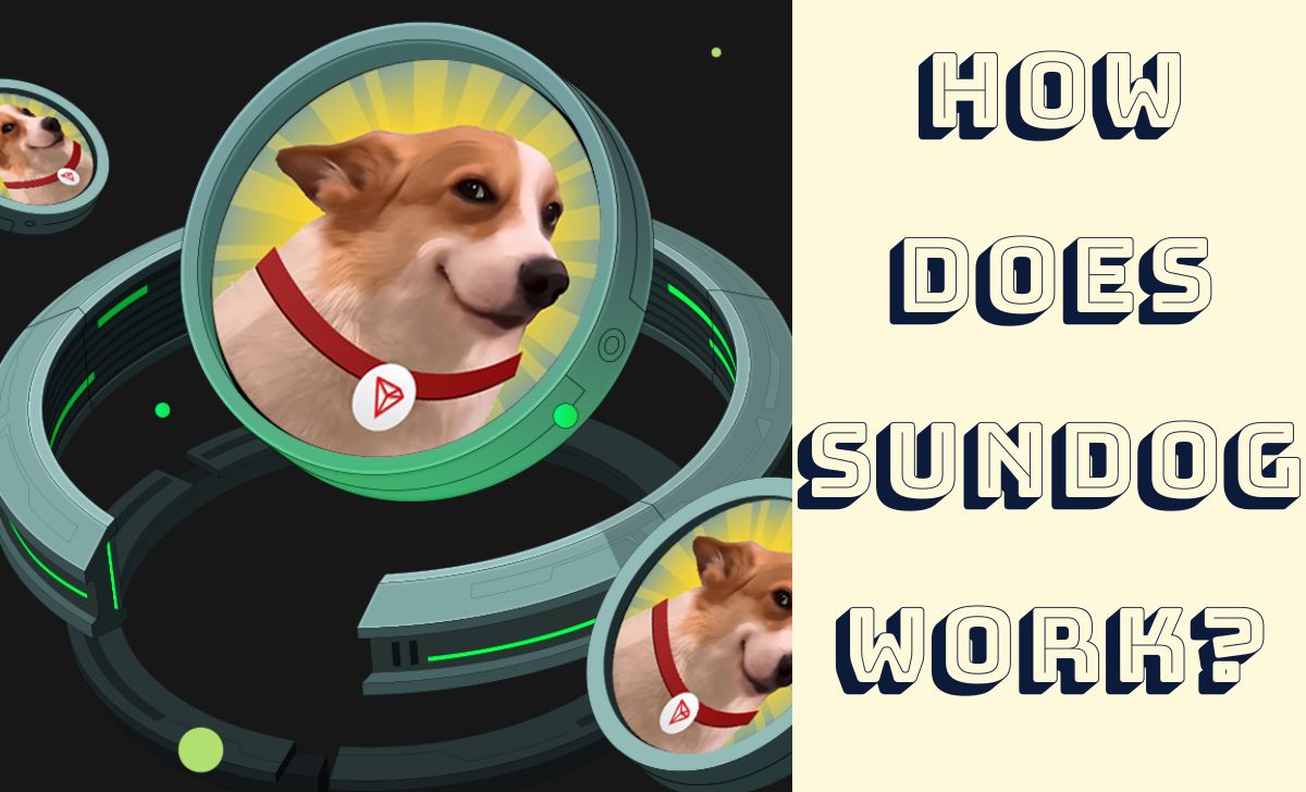 How does SUNDOG work?