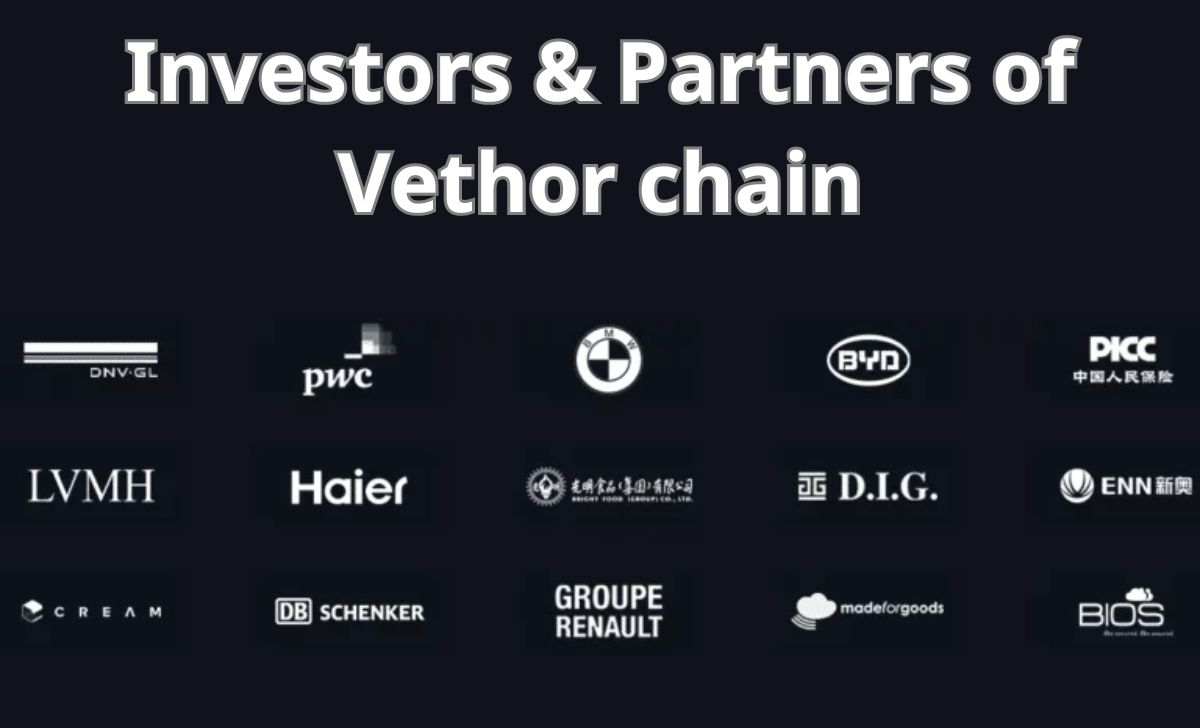 Investors & Partners