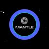 What is Mantle Network? Definition, History and Future