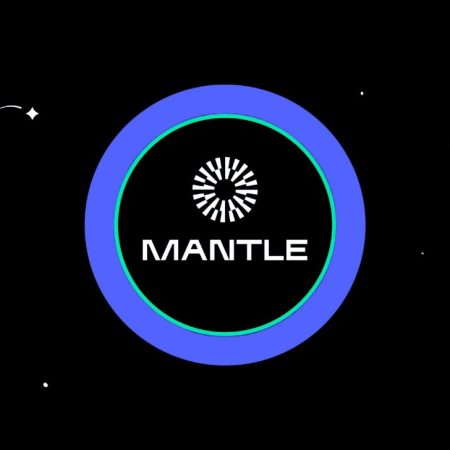 What is Mantle Network? Definition, History and Future