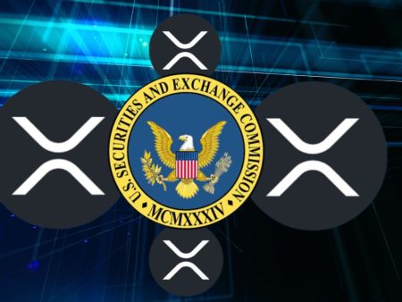 Ripple Legal Head Foresees Potential SEC Appeal in XRP Case