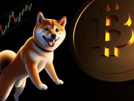 Shiba Inu Experiences a 240% Surge in This Significant Indicator