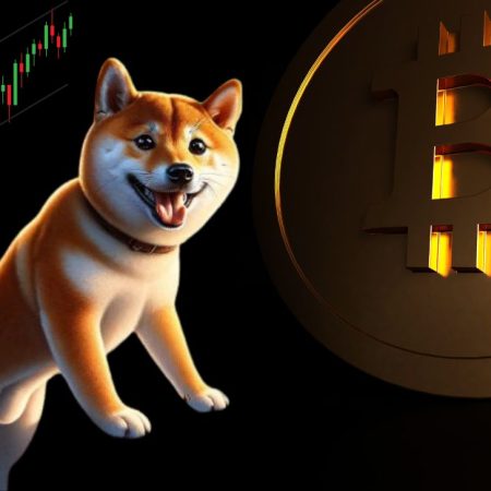 Shiba Inu Experiences a 240% Surge in This Significant Indicator