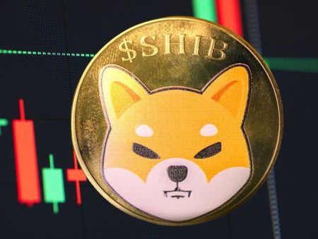 Shiba Inu Stagnates, Solana on Support, Bitcoin Eyes $60K