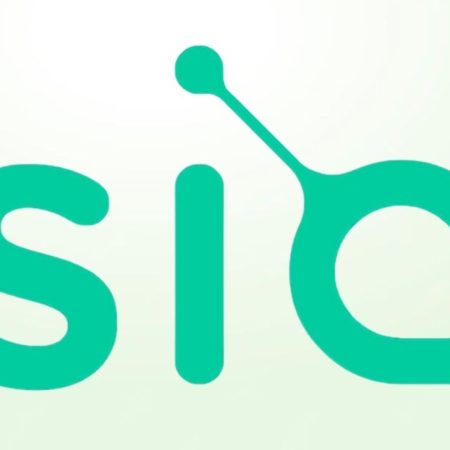 What is Siacoin (SC)? Overview Siacoin project and SC token