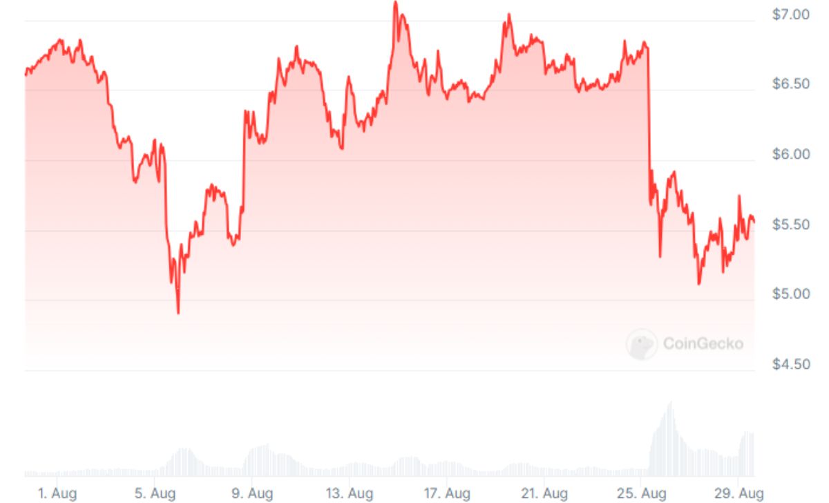 TON is up 8% on Aug. 28 but remains down 17% on the month