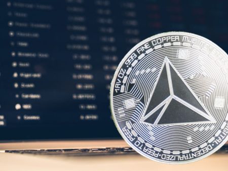 Trader Turns $1K into $750K with Tron Memecoin SunWukong