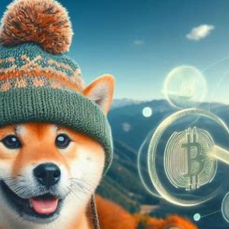 What is Dogwifhat (WIF) token? How does Dogwifhat work?
