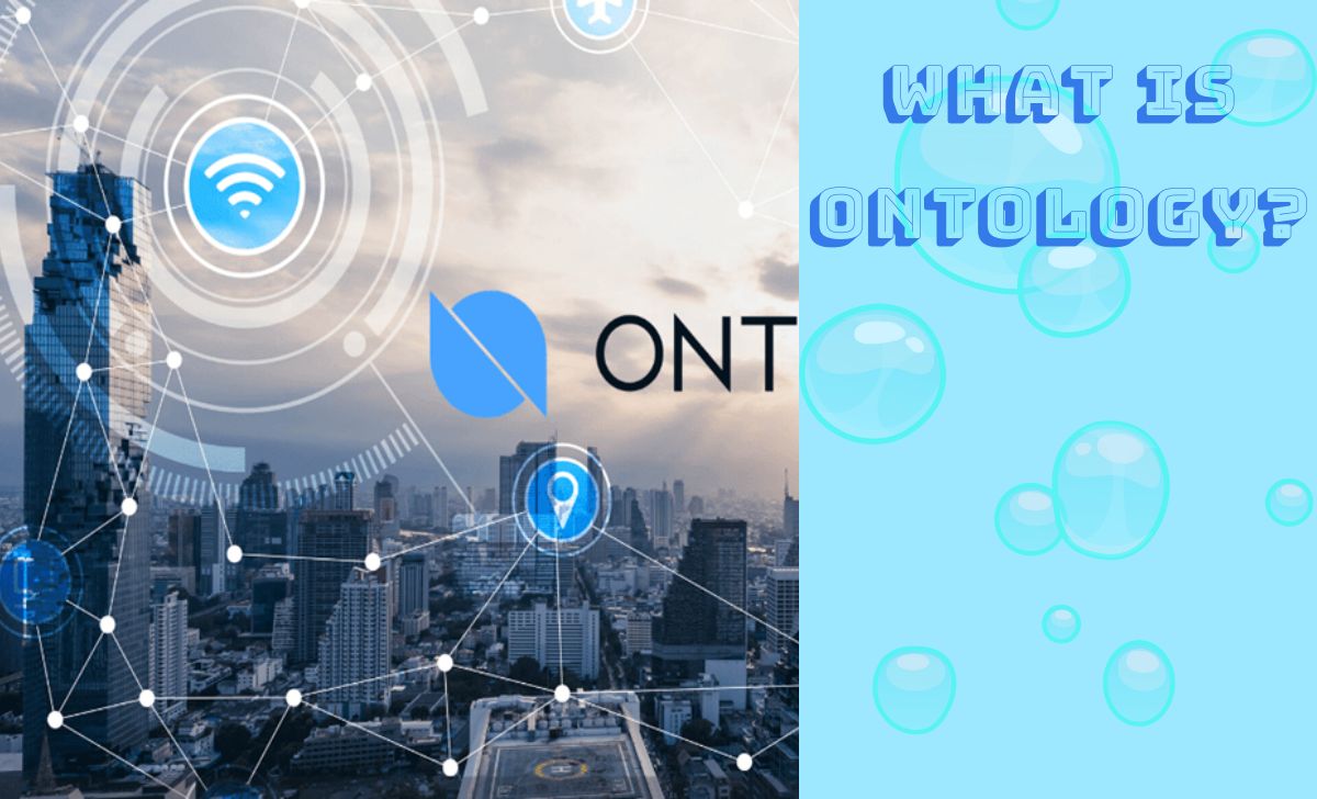 What is Ontology (ONT)? 