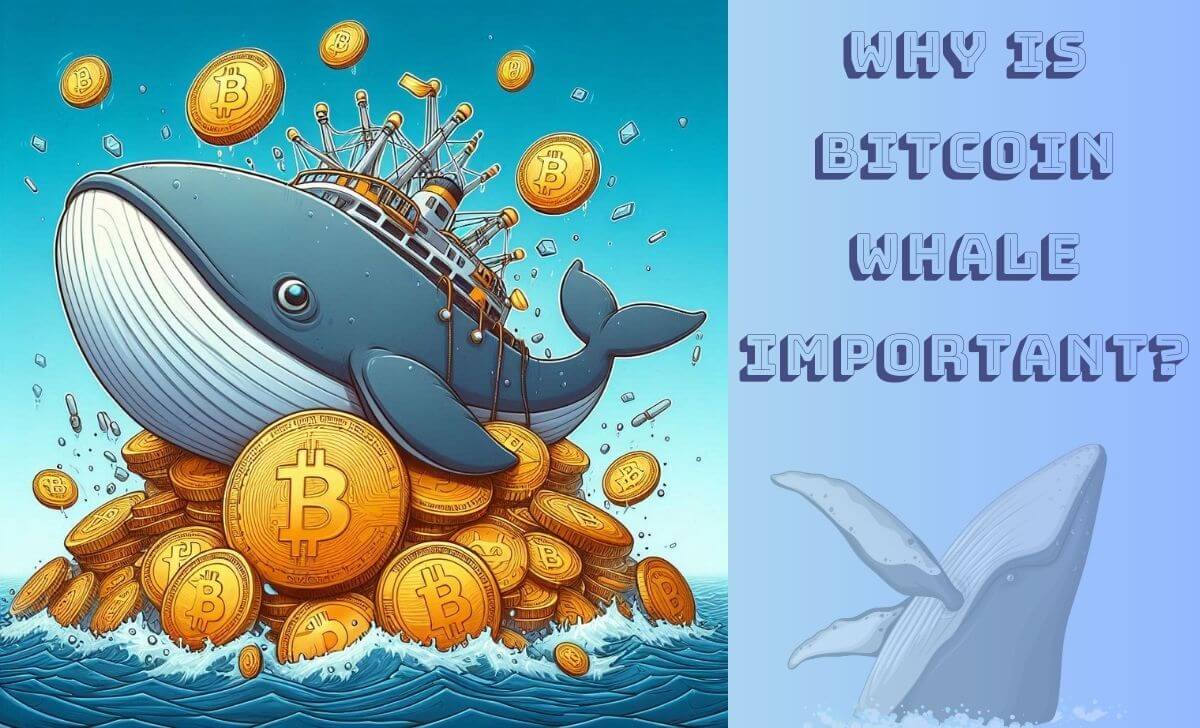 Why is Bitcoin Whale important?