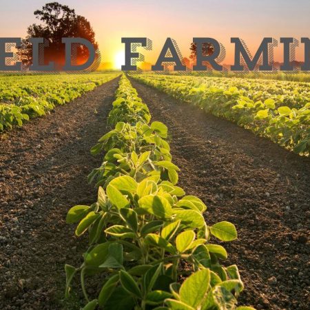 Yield Farming: Everything you need to know about Yield Farming