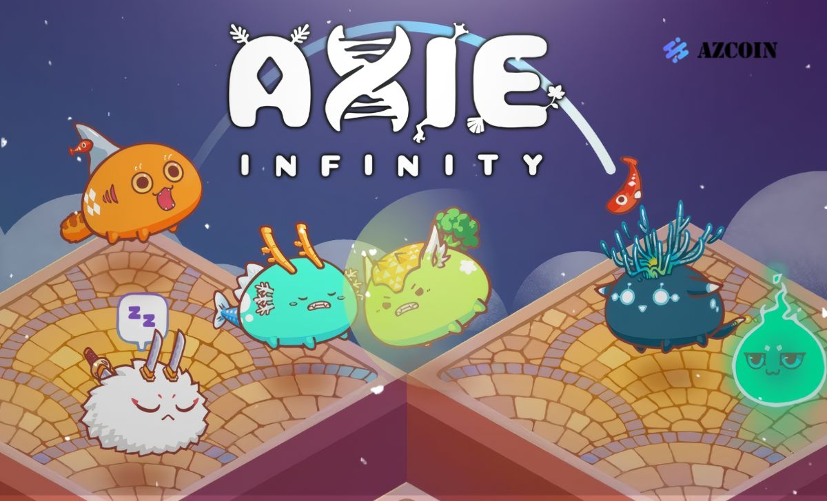 Basic features of Axie Infinity