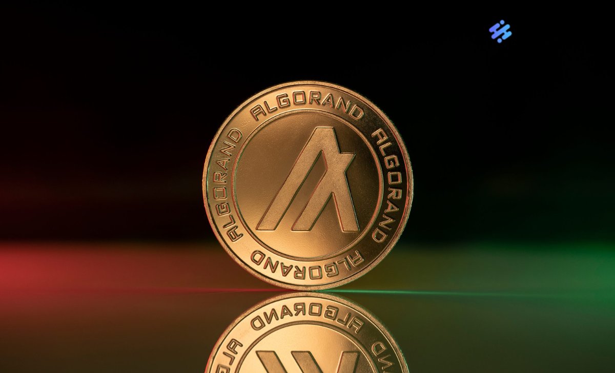 Basic information about ALGO token