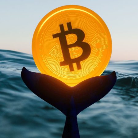 Bitcoin Whales on the Move as Stablecoin Inflows Surge: Is a Bullish Trend on the Horizon?