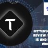 Bittensor (TAO) Review: What it is and how it works
