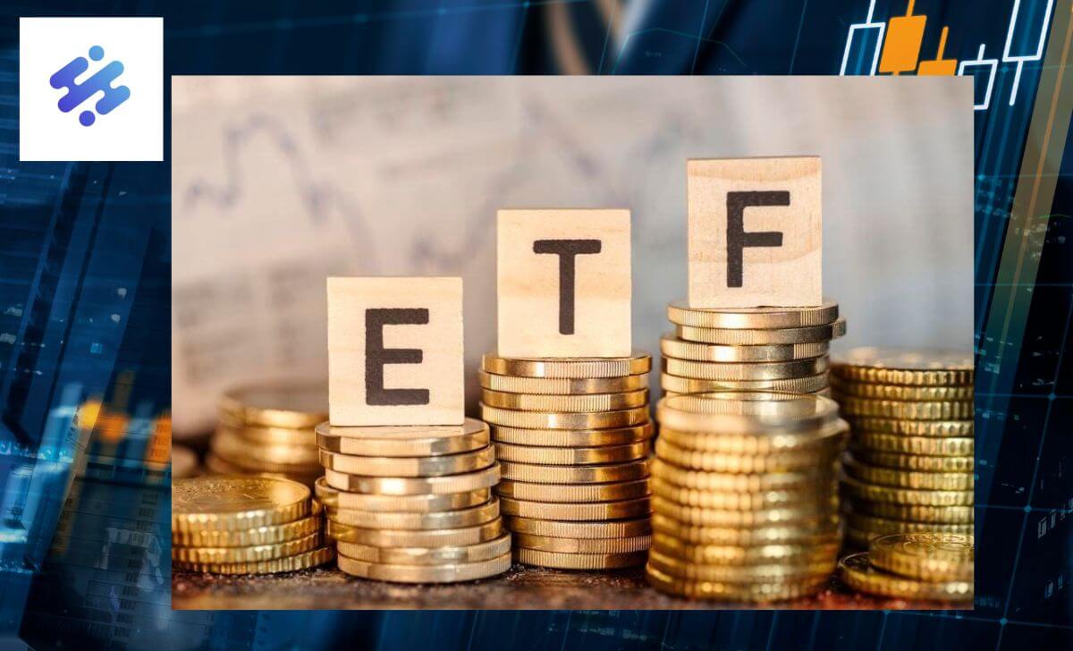 Classify ETFs to choose investment