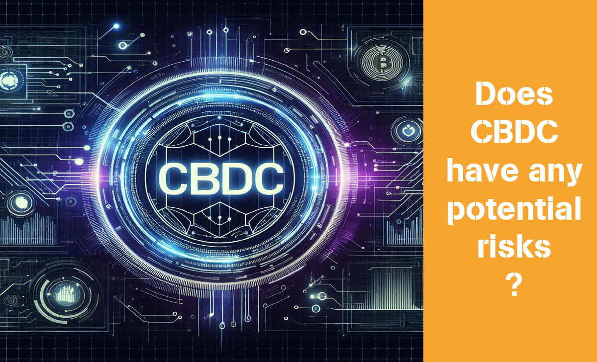 CBDC has risks to user privacy and security as well as many potential vulnerabilities for online attacks and fraud