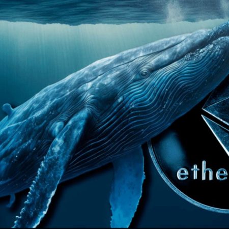 Ethereum Whales Undeterred By Price Drop, Move 3.50 Million ETH