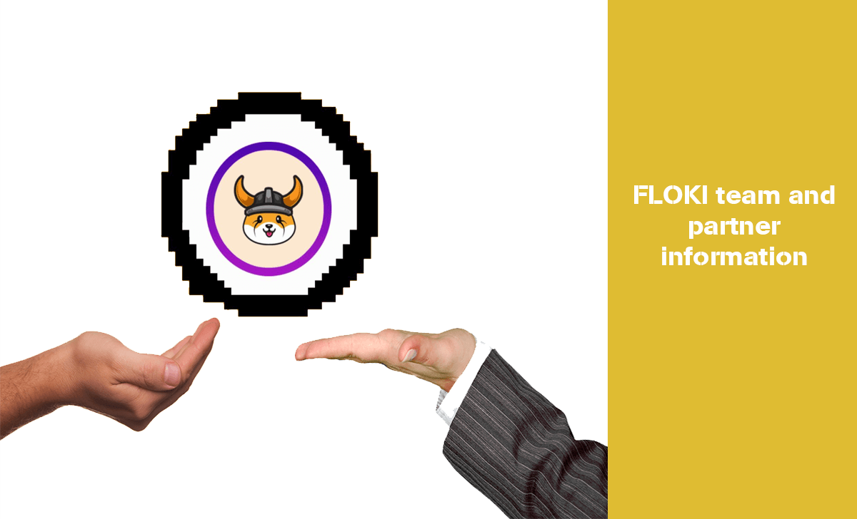 Let's find out information about FLOKI's development team and investors