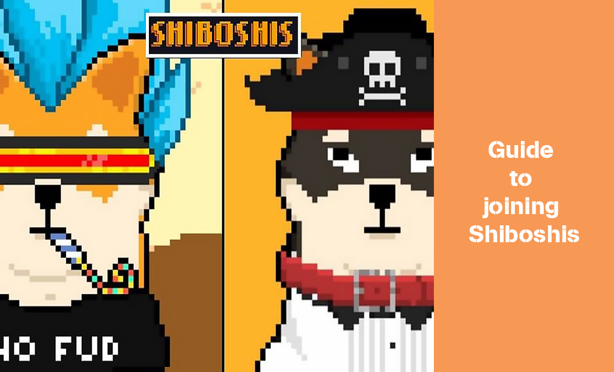 Customize your Shiboshi using specific tools and engage with the community.