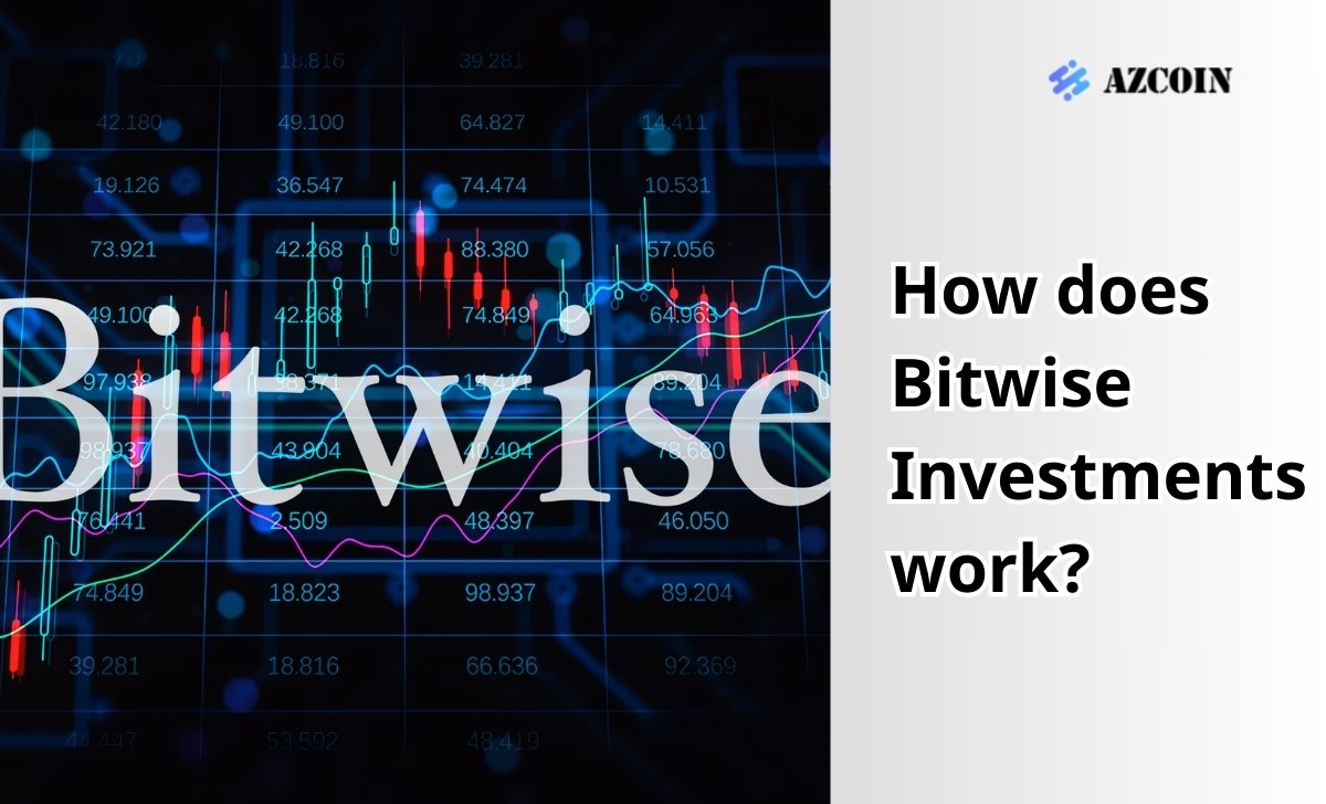 How does Bitwise Investments work?