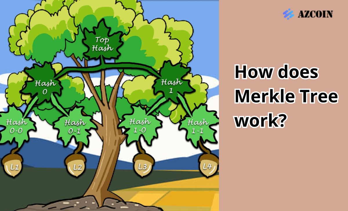 How does Merkle Tree work?