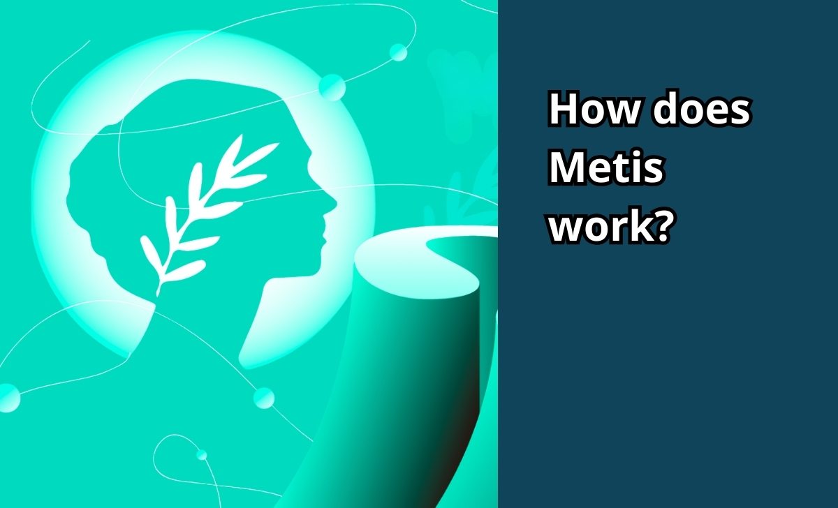 How does Metis work?