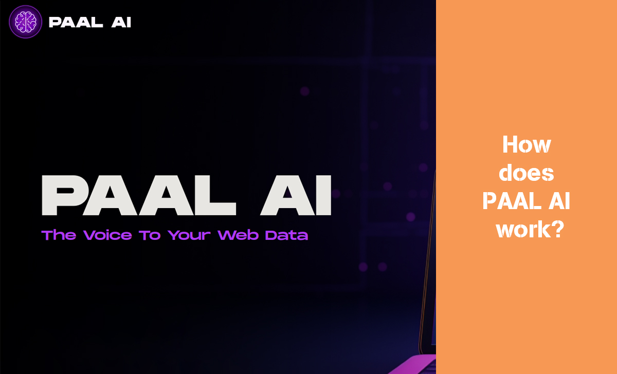 How PAAL AI works, including the technologies, processes and methods it uses to process data and provide services.