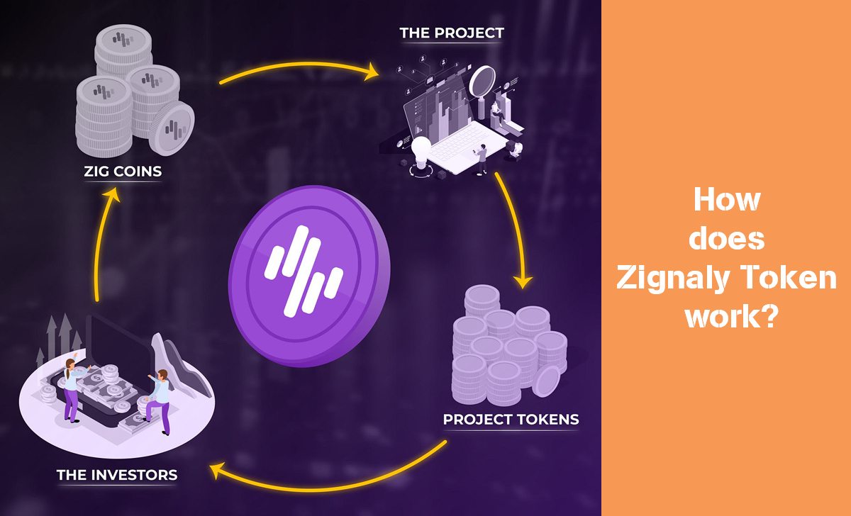 Users can earn and use ZIG in transactions, and participate in Zignaly's trading and investment ecosystem.