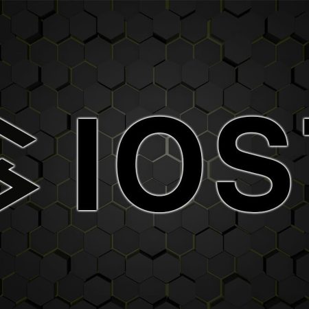 What is the IOST coin? Learn about the future of the Internet of Services