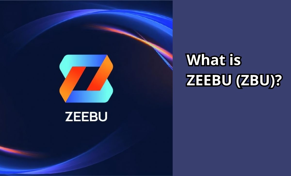 What is ZEEBU (ZBU)?