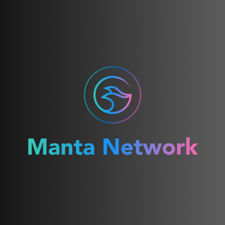 Manta Network (MANTA): How does it work and using it?