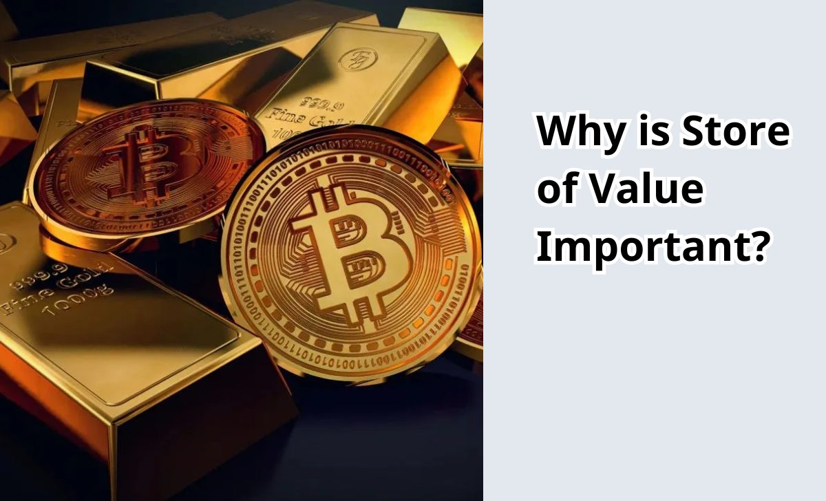 Why is Store of Value Important?