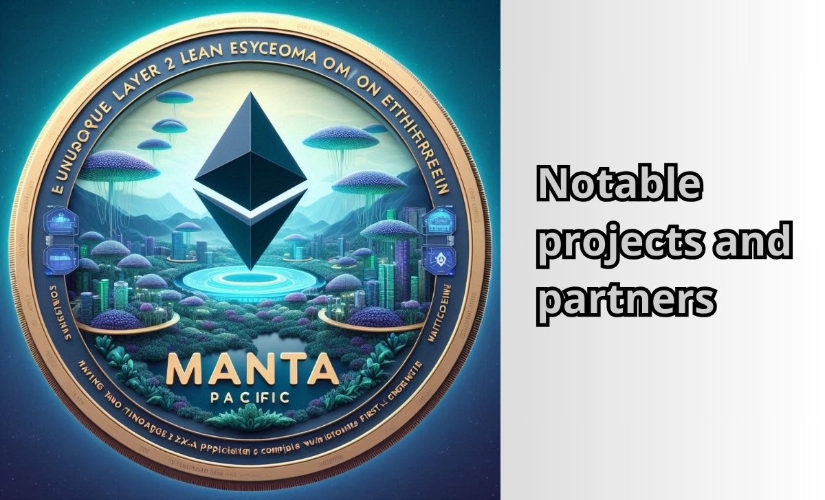 Notable projects and partners