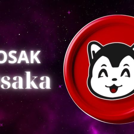 Osaka Protocol (OSAK): All you need to know about OSAK coin