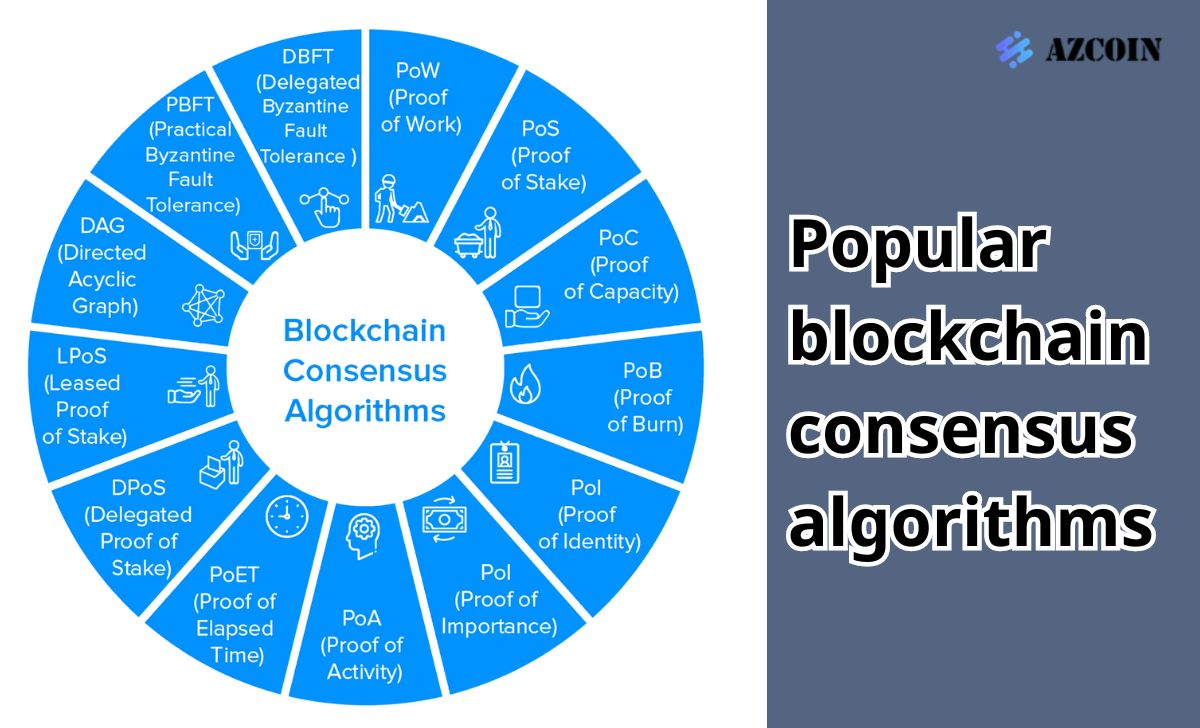 Popular blockchain consensus algorithms