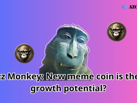 Rizz Monkey: New meme coin is there growth potential?