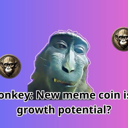 Rizz Monkey: New meme coin is there growth potential?