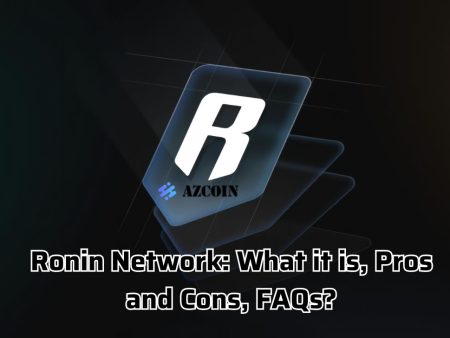 Ronin Network: What it is, Pros and Cons, FAQs?