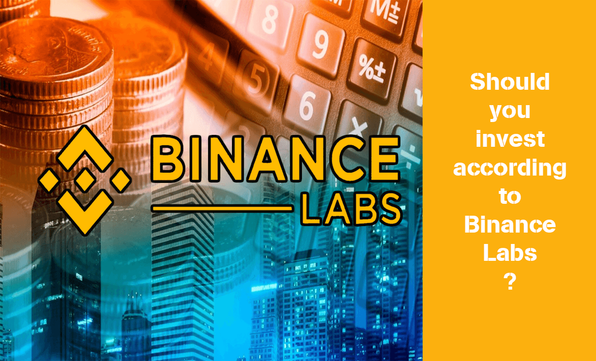 Whether or not to invest in Binance Labs is up to you