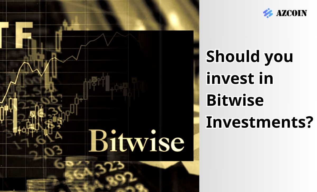 Should you invest in Bitwise Investments?