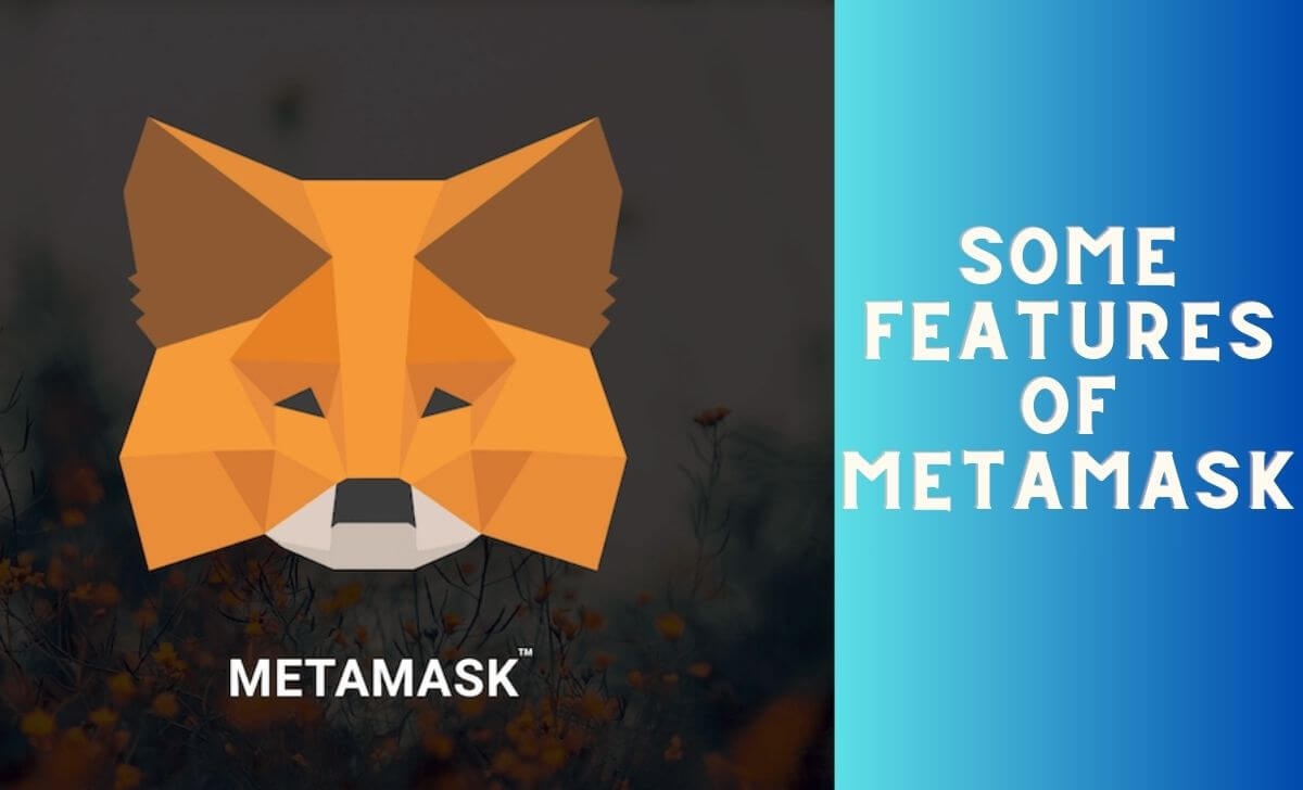 What Metamask can do