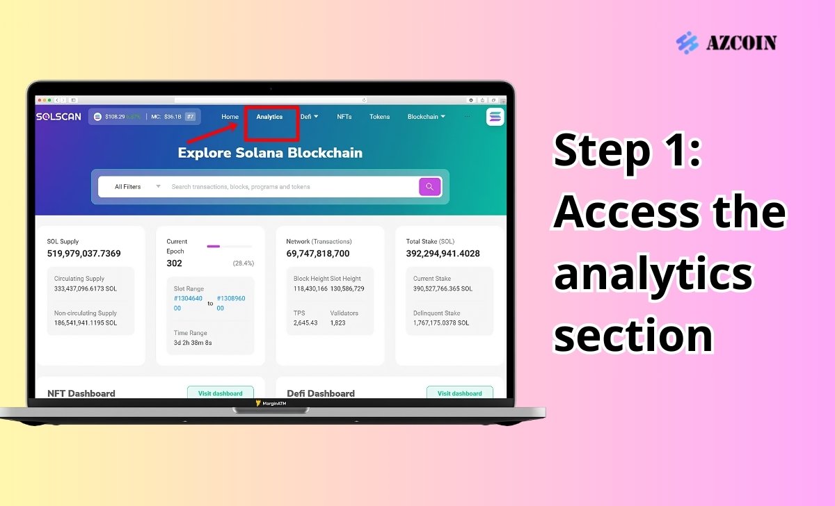 Step 1: Access the analytics section