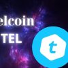 What is Telcoin? What it is, Pros and Cons, FAQs