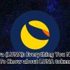Terra (LUNA): Everything You Need To Know about LUNA token