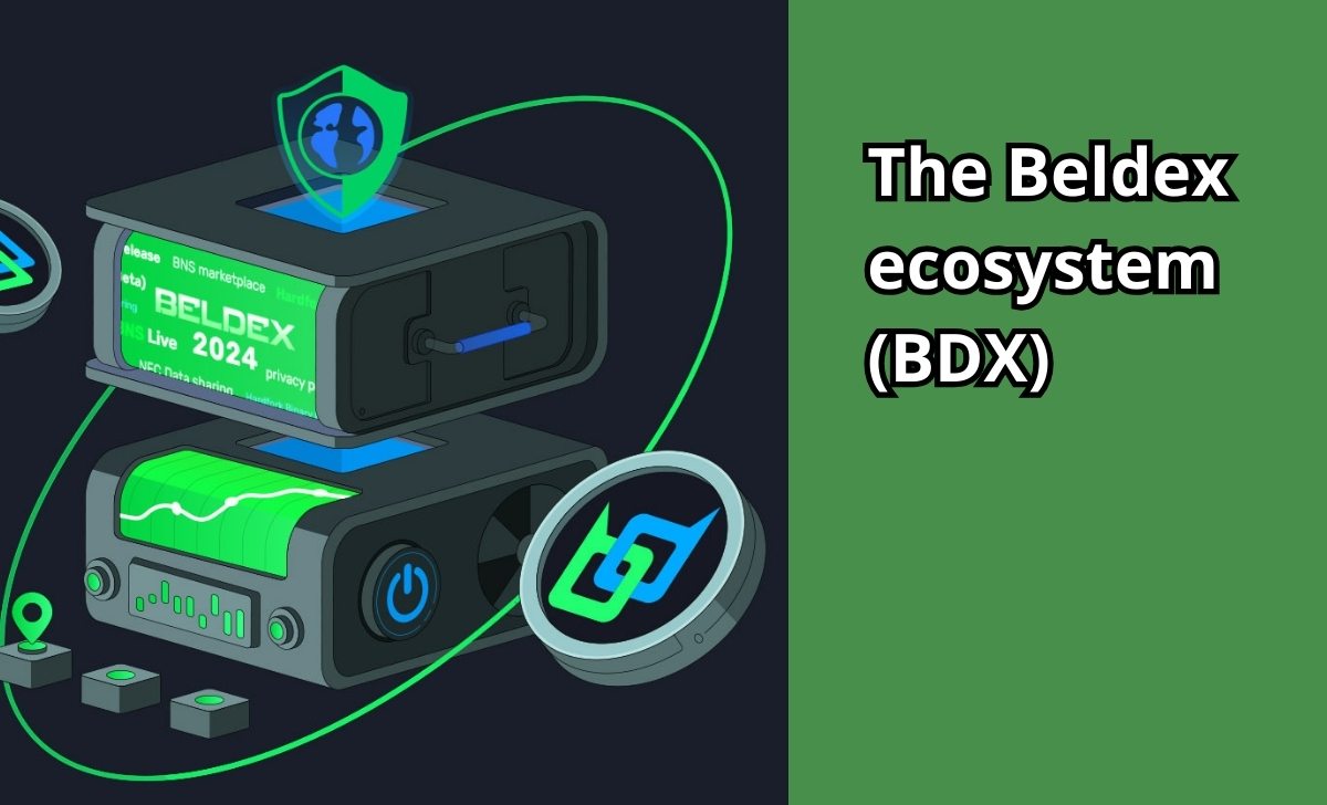 The Beldex ecosystem (BDX)