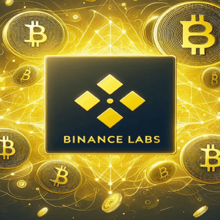 What are Binance Labs? Should you follow it?